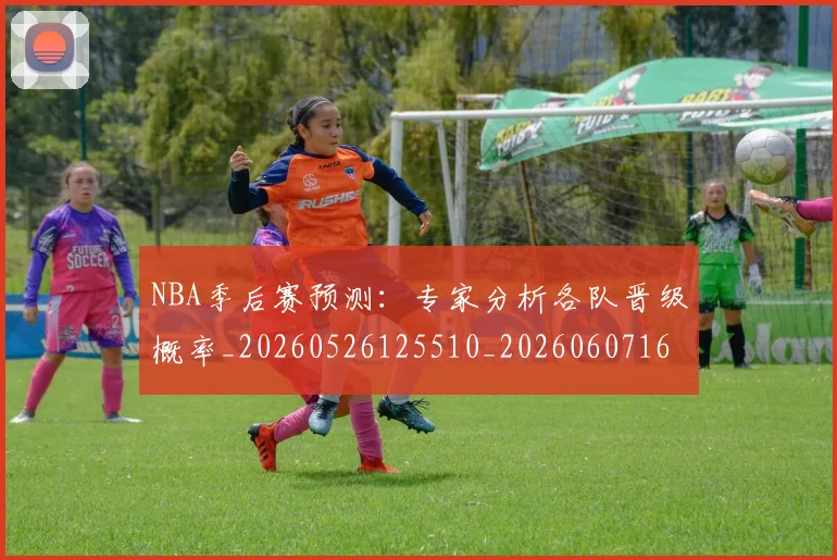 NBA季后赛预测：专家分析各队晋级概率_20260526125510_20260607160131