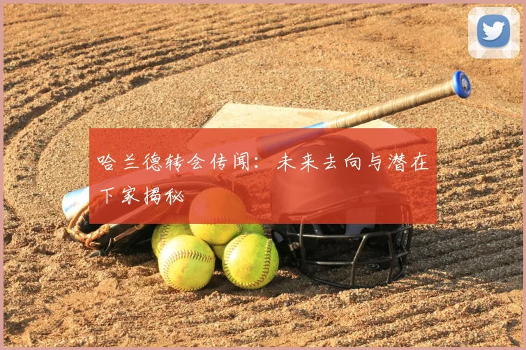 哈兰德转会传闻：未来去向与潜在下家揭秘